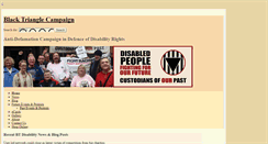 Desktop Screenshot of blacktrianglecampaign.org